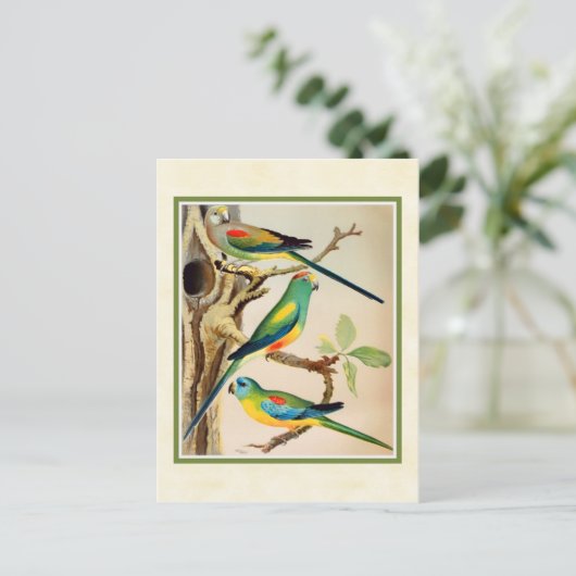 tropische parkieten briefkaart (Staand voorkant)
