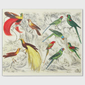  tropische parrots en paradijsvogels cadeaupapier (Vlak)