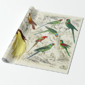 tropische parrots en paradijsvogels cadeaupapier (Uitgerold)