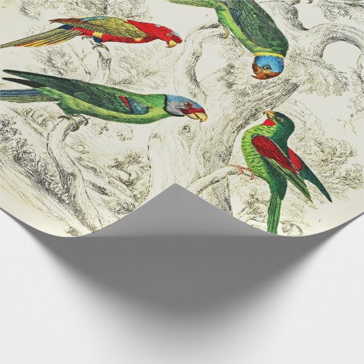 tropische parrots en paradijsvogels cadeaupapier (Hoek)
