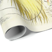  tropische parrots en paradijsvogels cadeaupapier (Rol Hoek)