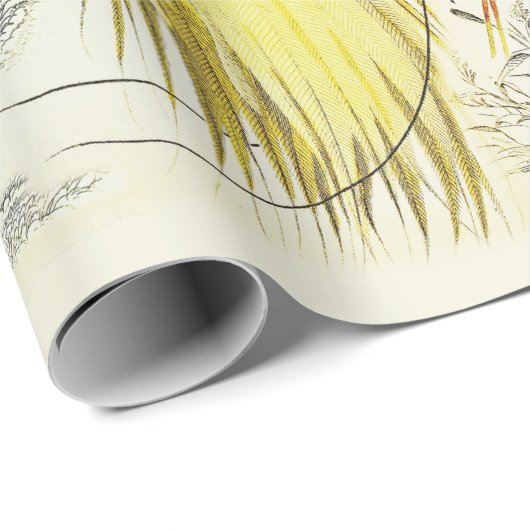  tropische parrots en paradijsvogels cadeaupapier (Rol Hoek)