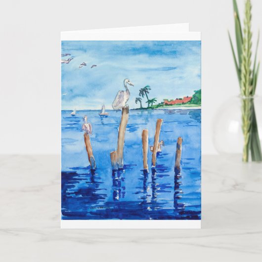 Tropische pelikanen kaart (Voorkant)