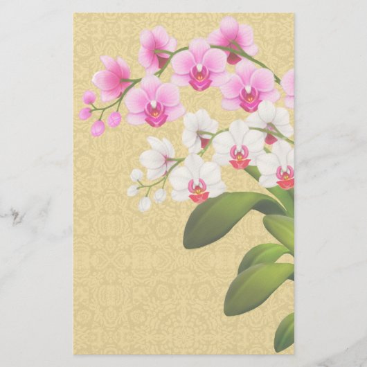 Tropische Phalaenopsis Orchid Flowers Stationery Briefpapier (Voorkant)