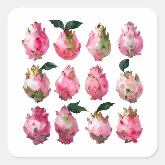 Tropische Pitaya Waterverf kunst Vierkante Sticker (Voorkant)
