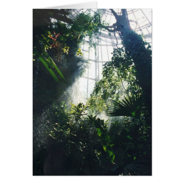 Tropische Planten (Voorkant)