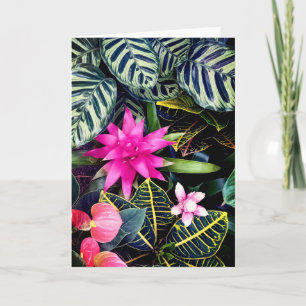 Tropische planten kaart