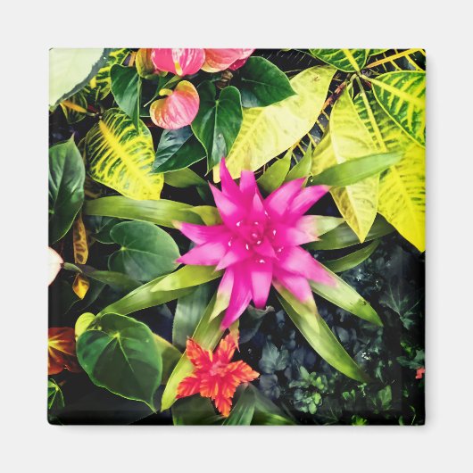 Tropische planten magneet (Voorkant)