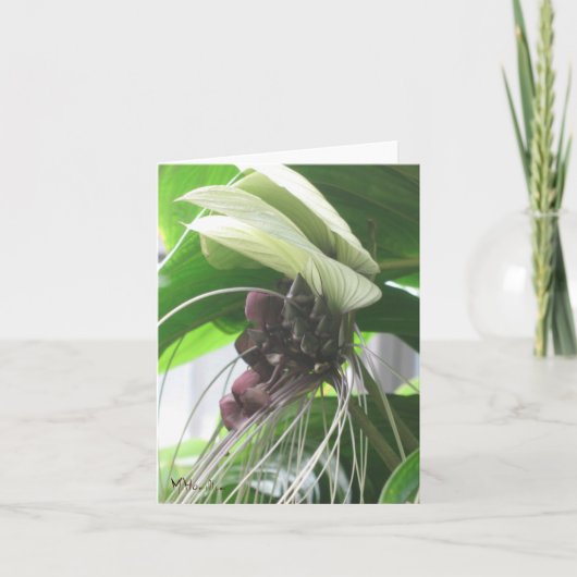 Tropische Planten Note Cards Kaart (Voorkant)