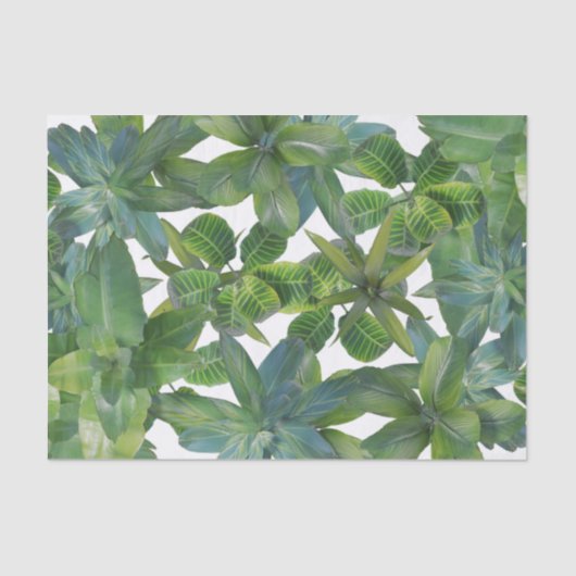 Tropische Planten Oerwouden bladerenpatroon groen  Tissuepapier (Voorkant)