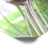 Tropische Planten Poster Prints (Hoek)