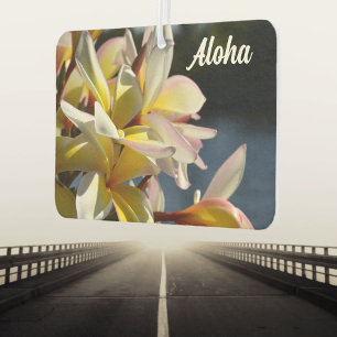 Tropische Plumeria Frangipani Bloemen Floral Aloha Luchtverfrisser