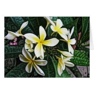 Tropische Plumeria-kaart