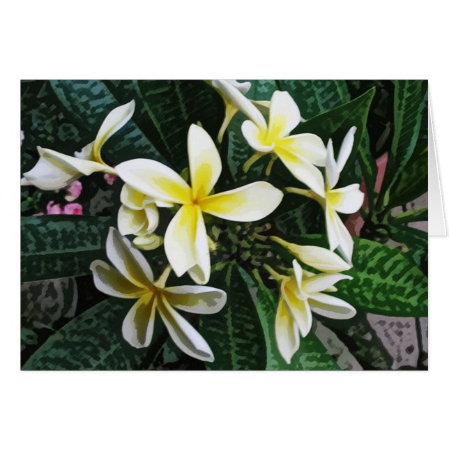 Tropische Plumeria-kaart (Voorkant Horizontaal)
