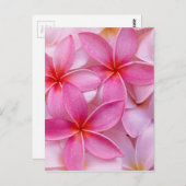 TROPISCHE PLUMERIESTROMEN BRIEFKAART (Voorkant / Achterkant)