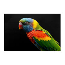 🦜 Tropische Regenboogpapegaai - Kunstwerk van het