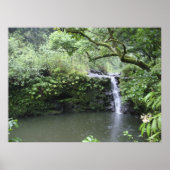 Tropische regenwoud Waterval Poster (Voorkant)