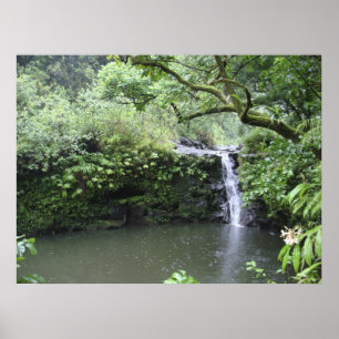 Tropische regenwoud Waterval Poster