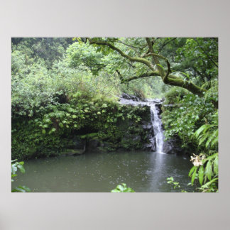 Tropische regenwoud Waterval Poster