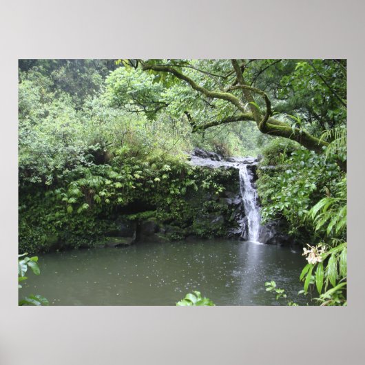 Tropische regenwoud Waterval Poster (Voorkant)