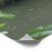 Tropische regenwoud Waterval Poster (Hoek)