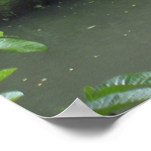 Tropische regenwoud Waterval Poster (Hoek)