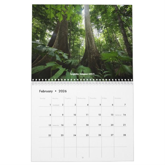 Tropische regenwoudenkalender kalender (Feb 2026)