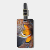 Tropische rifvis - Clownvis Bagagelabel (Voorkant verticaal)