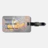 Tropische rifvis - Clownvis Bagagelabel (Achterkant horizontaal)