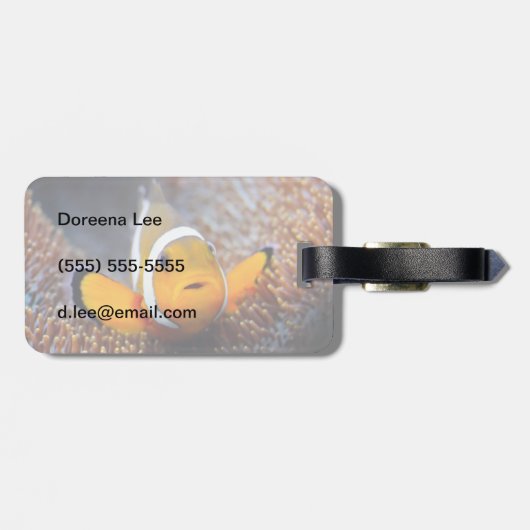 Tropische rifvis - Clownvis Bagagelabel (Achterkant horizontaal)