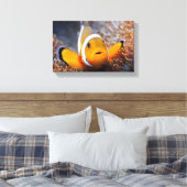 Tropische rifvis - Clownvis Canvas Afdruk (Insitu (Slaapkamer))