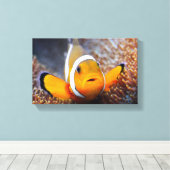 Tropische rifvis - Clownvis Canvas Afdruk (Insitu (Houten vloer))