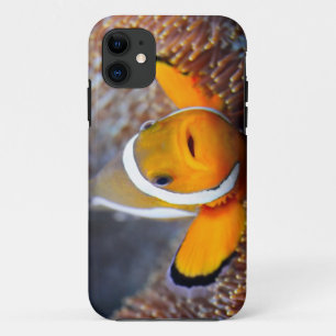 Tropische rifvis - Clownvis iPhone 11 Hoesje