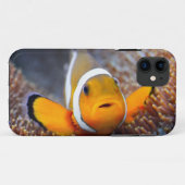 Tropische rifvis - Clownvis Case-Mate iPhone Case (Achterkant (horizontaal))