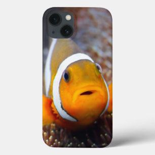 Tropische rifvis - Clownvis Case-Mate iPhone Case