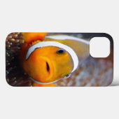 Tropische rifvis - Clownvis Case-Mate iPhone Case (Achterkant (horizontaal))