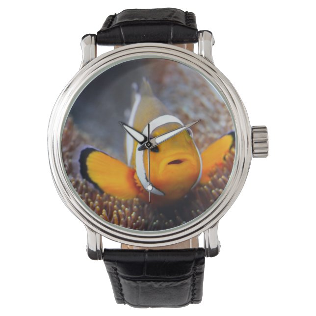 Tropische rifvis - Clownvis Horloge (Voorkant)