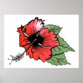 Tropische rode hibiscus bloem met groene bladeren poster (Voorkant)
