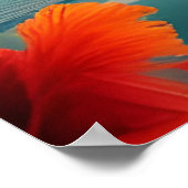 Tropische rode hibiscus Flowers Beach oceanische p Poster (Hoek)