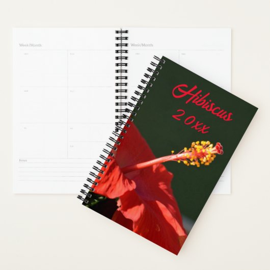 Tropische rode hibiscus-ventilator op zwart- planner (Display)