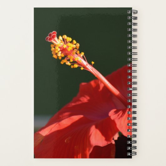 Tropische rode hibiscus-ventilator op zwart- planner (Achterkant)