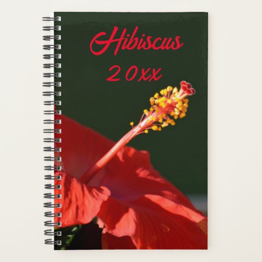 Tropische rode hibiscus-ventilator op zwart- planner (Voorkant)