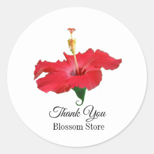 Tropische rode hibiscusbloem ronde sticker