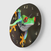 Tropische rode ogen kikker - Agalychnis Callidryas Grote Klok (Hoek)