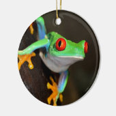 Tropische rode ogen kikker - Agalychnis Callidryas Keramisch Ornament (Links)