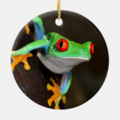 Tropische rode ogen kikker - Agalychnis Callidryas Keramisch Ornament (Achterkant)