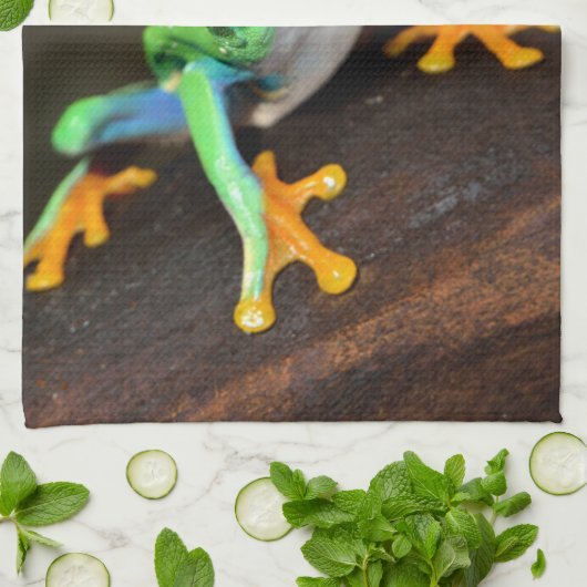 Tropische rode ogen kikker - Agalychnis Callidryas Theedoek (Gevouwen)