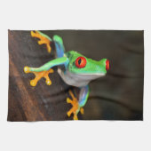 Tropische rode ogen kikker - Agalychnis Callidryas Theedoek (Horizontaal)