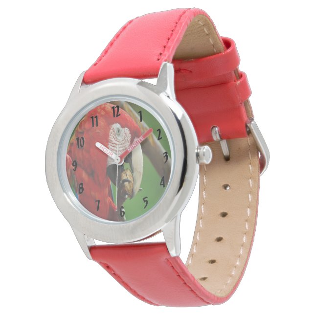 Tropische rode papegaai horloge (Gekanteld)