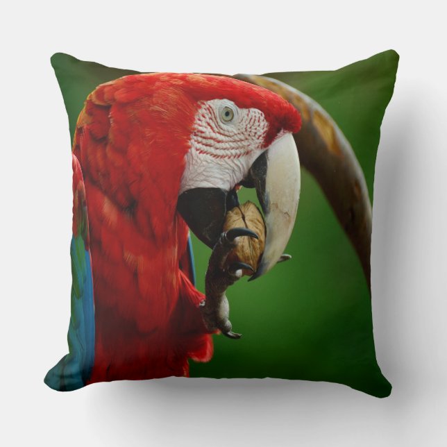 Tropische rode papegaai kussen (Voorkant)